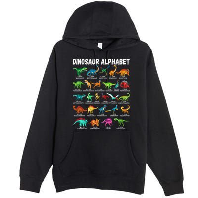Types Of Dinosaurs Alphabet AZ ABC Dino Identification Premium Pullover Hoodie