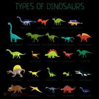 Types Of Dinosaurs Dino Identification Tall T-Shirt