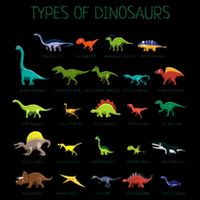 Types Of Dinosaurs Dino Identification Bucket Hat