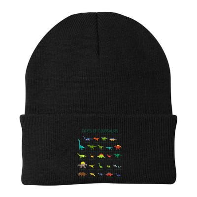 Types Of Dinosaurs Dino Identification Beanie