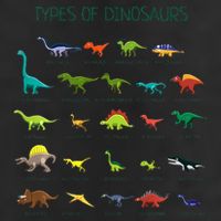 Types Of Dinosaurs Dino Identification Beanie