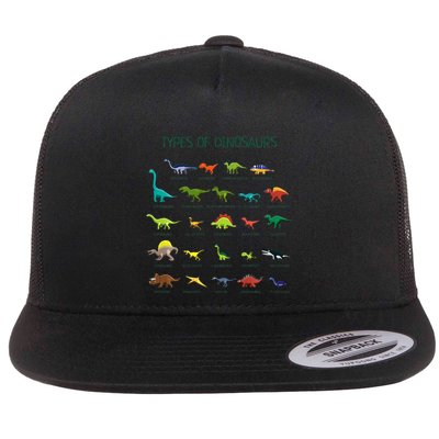 Types Of Dinosaurs Dino Identification Flatbill Hat