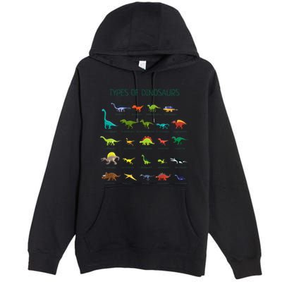 Types Of Dinosaurs Dino Identification Premium Pullover Hoodie