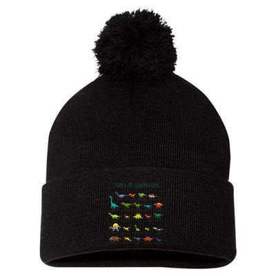 Types Of Dinosaurs Dino Identification Pom Pom 12in Knit Beanie