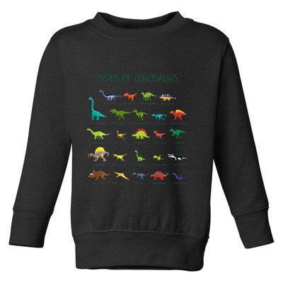 Types Of Dinosaurs Dino Identification Toddler Sweatshirt