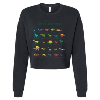 Types Of Dinosaurs Dino Identification Cropped Pullover Crew