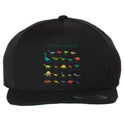 Types Of Dinosaurs Dino Identification Wool Snapback Cap