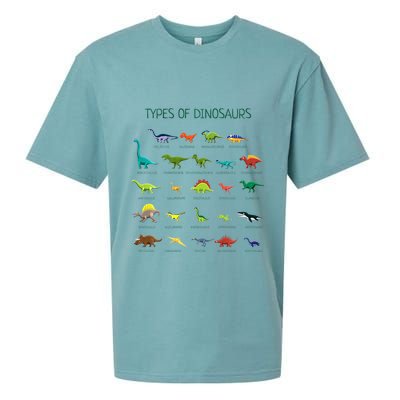 Types Of Dinosaurs Dino Identification Sueded Cloud Jersey T-Shirt