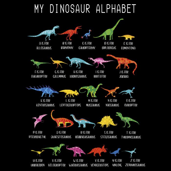 Types Of Dinosaurs Alphabet Dino Identification Kids T-Shirt