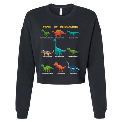 Types Of Dinosaur Dino And Kids Dino Pedia Great Gift Cropped Pullover Crew