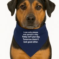 Today Isn't Your Day Funny Sayings USA-Made Doggie Bandana