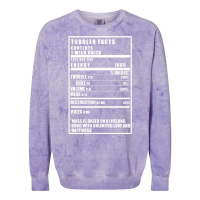 Toddler Nutrients Facts Colorblast Crewneck Sweatshirt