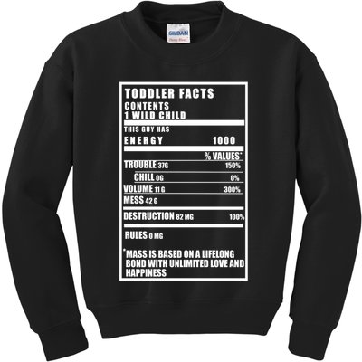 Toddler Nutrients Facts Kids Sweatshirt