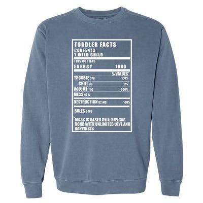 Toddler Nutrients Facts Garment-Dyed Sweatshirt