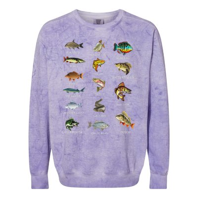 Types Of Freshwater Fish Species Fishing Fisherman Anglers Colorblast Crewneck Sweatshirt