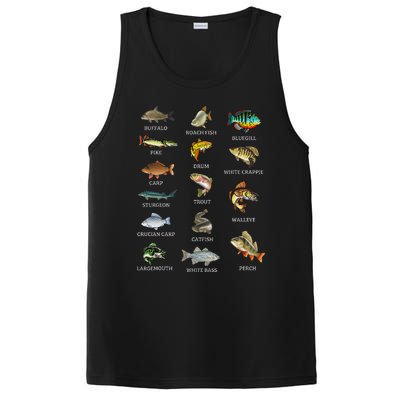 Types Of Freshwater Fish Species Fishing Fisherman Anglers PosiCharge Competitor Tank