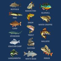 Types Of Freshwater Fish Species Fishing Fisherman Anglers Bag