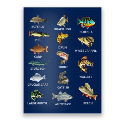 Types Of Freshwater Fish Species Fishing Fisherman Anglers Poster