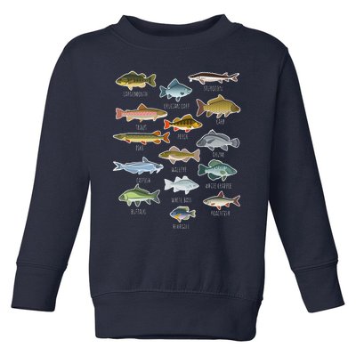 Types Of Freshwater Fish Species Fishing Toddler Sweatshirt