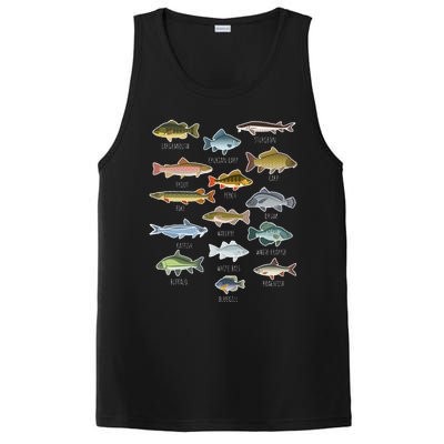 Types Of Freshwater Fish Species Fishing PosiCharge Competitor Tank