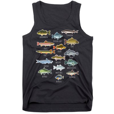 Types Of Freshwater Fish Species Fishing Tank Top