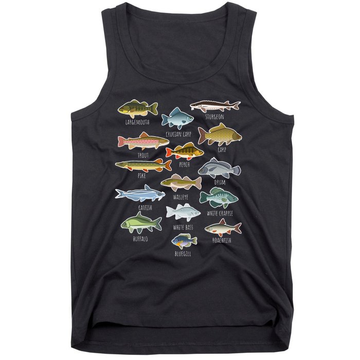 Types Of Freshwater Fish Species Fishing Tank Top