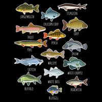 Types Of Freshwater Fish Species Fishing Apron