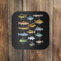 Types Of Freshwater Fish Species Fishing Coaster