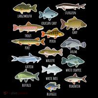 Types Of Freshwater Fish Species Fishing Shirt Fishing Merch New Fishing Costume Tall T-Shirt