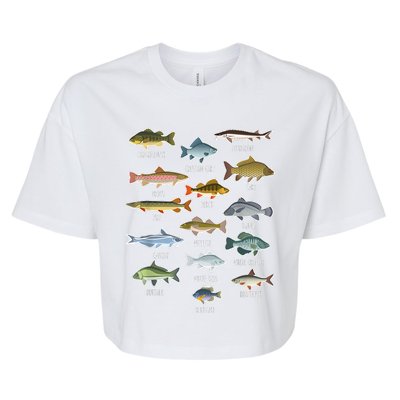 Types Of Freshwater Fish Species Fishing Shirt Fishing Merch New Fishing Costume Bella+Canvas Jersey Crop Tee