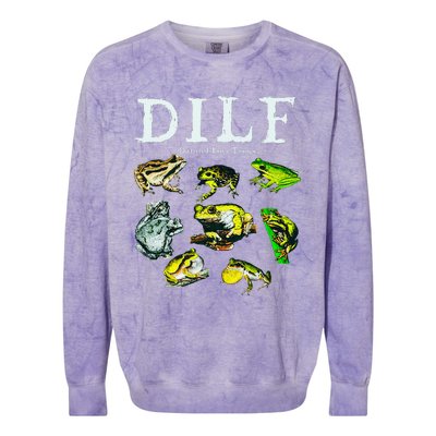 Types Of Frogs Dilf Damn I Love Frogs Colorblast Crewneck Sweatshirt