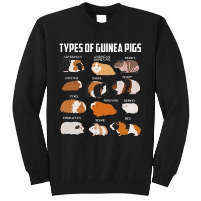 Types Of Guinea Pigs Owner Cool Animal Xmas Gift Sweatshirt