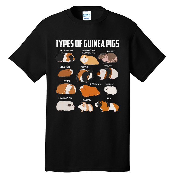 Types Of Guinea Pigs Owner Cool Animal Xmas Gift Tall T-Shirt