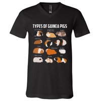 Types Of Guinea Pigs Owner Cool Animal Xmas Gift V-Neck T-Shirt