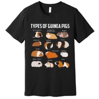 Types Of Guinea Pigs Owner Cool Animal Xmas Gift Premium T-Shirt