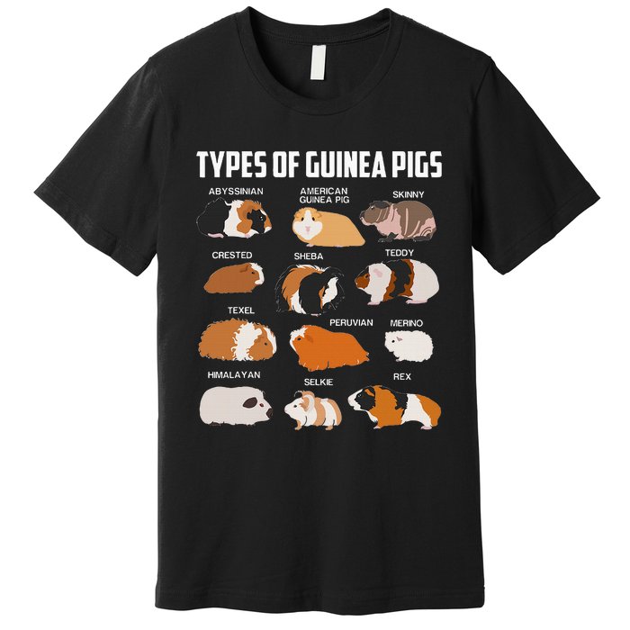 Types Of Guinea Pigs Owner Cool Animal Xmas Gift Premium T-Shirt