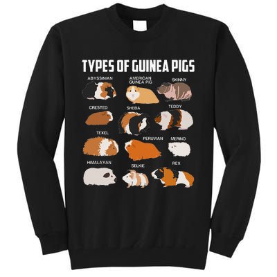 Types Of Guinea Pigs Owner Cool Animal Xmas Gift Tall Sweatshirt