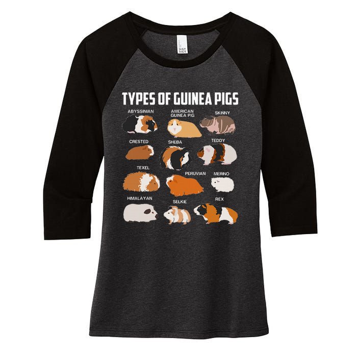 Types Of Guinea Pigs Owner Cool Animal Xmas Gift Women's Tri-Blend 3/4-Sleeve Raglan Shirt