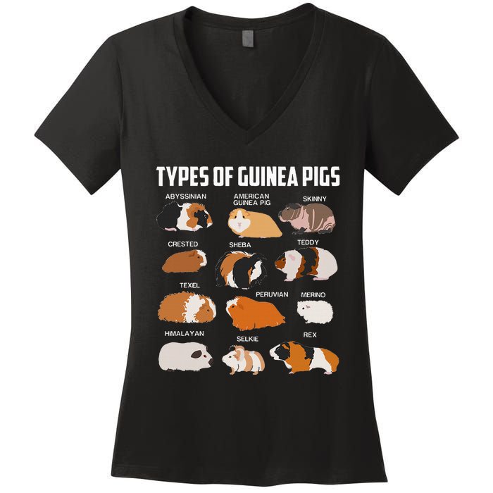 Types Of Guinea Pigs Owner Cool Animal Xmas Gift Women's V-Neck T-Shirt