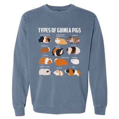 Types Of Guinea Pigs Owner Cool Animal Xmas Gift Garment-Dyed Sweatshirt