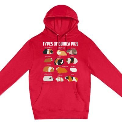 Types Of Guinea Pigs Owner Cool Animal Xmas Gift Premium Pullover Hoodie