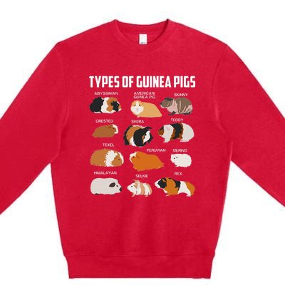 Types Of Guinea Pigs Owner Cool Animal Xmas Gift Premium Crewneck Sweatshirt