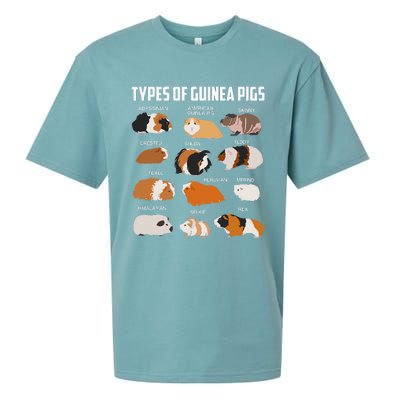 Types Of Guinea Pigs Owner Cool Animal Xmas Gift Sueded Cloud Jersey T-Shirt