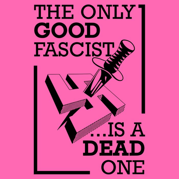 The Only Good Fascist Is A Dead One Stripe Pom Pom Beanie