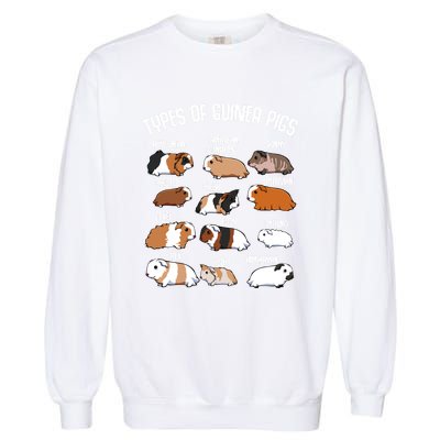 Types Of Guinea Pigs Household Pet Animal Rodent Fluffy Cute Great Gift Garment-Dyed Sweatshirt