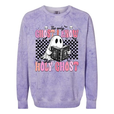 The Only Ghost I Know Is The Holy Ghost Funny Halloween Funny Gift Colorblast Crewneck Sweatshirt