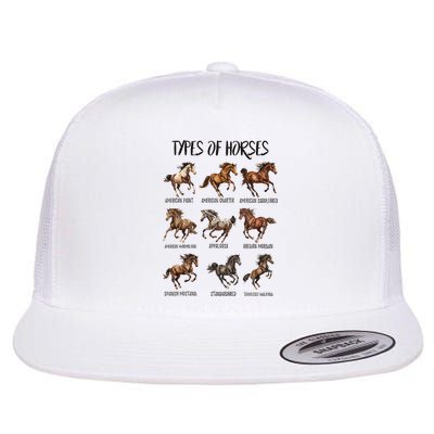 Types Of Horses Horse Breed Horseback Riding Flatbill Hat