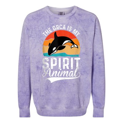 The Orca Is My Spirit Animal Funny Orca Colorblast Crewneck Sweatshirt