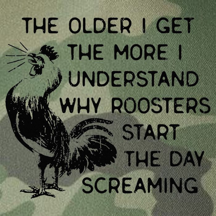 The Older I Get The More I Understand Why Roosters Start The Legacy Tie Dye Trucker Hat