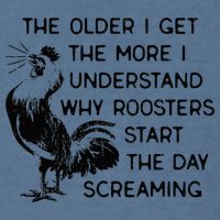 The Older I Get The More I Understand Why Roosters Start The Garment-Dyed Sweatshirt